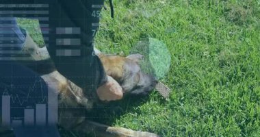 Köpek bakıcısı diz çökmüş, Alman kurdu kafasını çimlerin üzerinde tutuyor, dijital sağlık tablolarını gösteriyor. Köpek, son sınıf, açık hava, teknoloji, sağlık, hayvan, sadakat