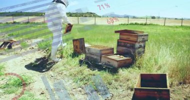 Arıcı, dünya haritası eşleştirme teknolojisiyle bal peteği çerçevesi yürüme alanını inceliyor. Görüntü, sürdürülebilirlik, kırsal, tarım, veri görselleştirme, çevre, açık hava