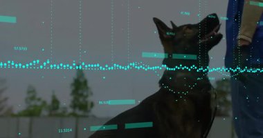 Köpek artırılmış veri örtüsüyle eğitilmekte, yüzen turkuaz ölçümler ve etiketler gösterilmektedir. Köpek, itaat, teknoloji, açık hava, analitik, eğitim, denetim