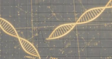 Karanlık ızgara üzerinde parlayan altın DNA sarmalları sivri çizgi grafikleri ve moleküler düğümleri gösteriyor. Fütürist, bilimsel, veri görselleştirme, biyoteknoloji, dijital sanat, analitik, yenilik