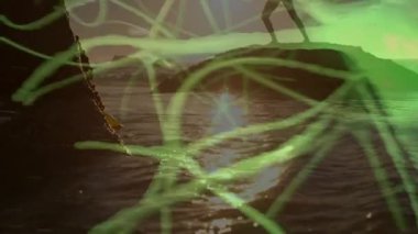 Gün batımında kayalık okyanusta dengede duran siluet kadın, teknoloji pazarlamasını neon yeşili patikalarla gösteriyor. Soyut, dinginlik, ilham, dijital, manzara, sanatçılık, kontrast