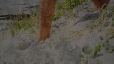 Çıplak ayaklar, parlak beyaz kum tepecikleri üzerinde yürüyor ve seyrek çimen parçalarını üç boyutlu olarak gösteriyor. Ayakkabı, doğa, dinginlik, açık hava, rahatlama, minimalizm, doku