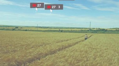 Olgun bir adam altın buğday tarlasında yürüyor, pazarlama için yüzen sosyal medya ikonları sergiliyor. Tarım, kırsal, pastoral, kırsal, dijital, bağlantı, modern