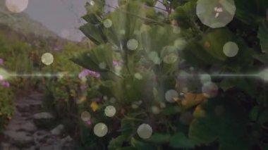 Erkek yürüyüşçü, sağlık kampanyası için düz olmayan taş yolda yürüyor. Bokeh animasyonlarıyla. Doğa, macera, sükunet, vahşi doğa, keşif, manzara, manzara