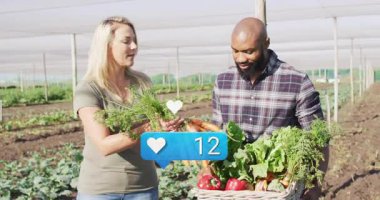 Ağların altında sebze hasat eden çiftçiler, yüzen kalp ikonları ve kont gibi sağlık ürünleri sunuyorlar. Tarım, takım çalışması, sürdürülebilirlik, organik, kırsal, toplum, canlı