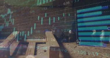 Anne tavuk ve civcivler saydam borsa grafiklerini düz tasarımla kırsal kümeste sergiliyorlar. Kırsal, tarımsal, çiftlik, ekosistem, yatırım, analiz, veri görselleştirme