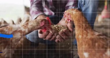 Erkek çiftçi, tarım teknolojisi çiftliğindeki beslemelerle tavukları besliyor. Artan harita oklarıyla şebeke örtüşüyor. Tarım, kırsal, ahır, verimlilik, sürdürülebilirlik, markalaşma, yatırım