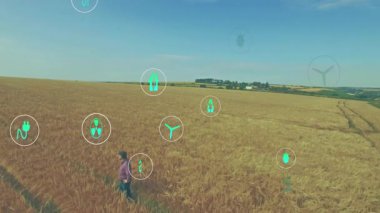 Tarım endüstrisi altın buğday tarlalarını gösteriyor, yüzen enerji ve geri dönüşüm ikonları sergiliyor. Sürdürülebilirlik, yenilenebilirlik, çevre dostu, kırsal, tarım sektörü, çevre, dijital