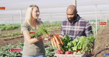 Tarlada sepet tutan iki çiftçi, yüzen aboneler sergiliyorlar, ikonları çalıyorlar. Tarım, işbirliği, kırsal, enerjik, sürdürülebilir, takım çalışması, tarım