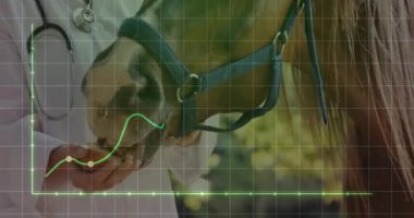 Bayan veteriner atı steteskopla besliyor. Veteriner verilerini gösteren yeşil bir dosya var. Hayvan bakımı, at sağlığı, açık hava ortamı, veri analizi, veteriner tıbbı, kırsal alan, sağlık