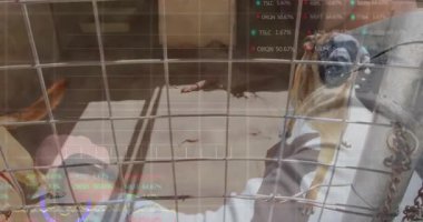 Erkek, köpeğe doğru tel örgülerin önünde diz çöküyor ve animasyon çizelgeleriyle ukalalık gösteriyor. Teknoloji, arkadaşlık, açık hava, modern, iletişim, veri, sadakat.