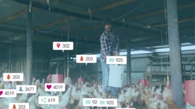 Erkek çiftçi, kümes hayvanları çiftliğindeki kovadan tavuklara yüzen sosyal medya simgeleriyle besleniyor. Tarım, kırsal, çiftlik hayvanları, hayvancılık, sanayi, markalaşma, kırsal