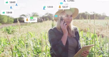 Mısır tarlasında sosyal medya verilerini izlerken telefon ve tablet kullanan bir kadın yüzen simgeleri gösteriyor. Doğa, kırsal, teknoloji, bağlantı, açık hava, verimlilik, canlı