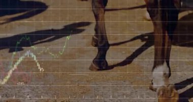 Güneş ışığında yürüyen at ön bacakları düz dizaynlı finansal tabloları gösteriyor. Atlar, kırsal, kırsal, doğal, dinamik, eğilim analizi, veri görselleştirmesi