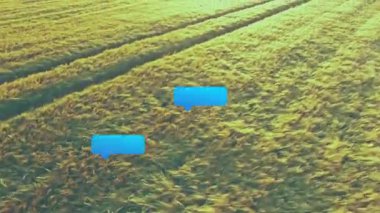 Altın buğday tarlasının üzerinde yüzen dijital konuşma baloncukları mesajlaşma kavramını düz bir şekilde gösteriyor. Tarım, iletişim, teknoloji, manzara, veri, dijital, yenilik