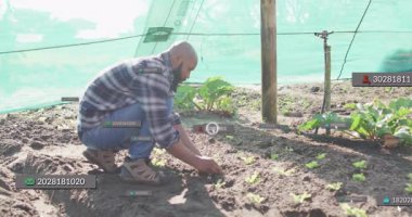 Diz çöküp çiftliğe fidanlar eken adam, sulama borularının üzerinde yüzen veri etiketlerini gösteriyor. Tarım, teknoloji, sürdürülebilirlik, organik, kırsal, yenilik, çevre dostu