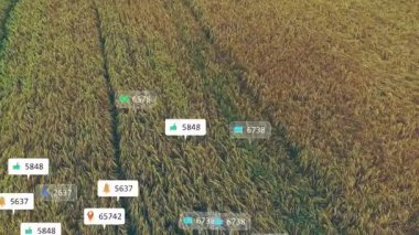 Uçsuz bucaksız ekin alanı düz tasarımda konuşma balonlarında yüzen sosyal simgelerle canlandırılıyor. Tarım, manzara, bilgi, dijital, çevre, pazarlama, kırsal