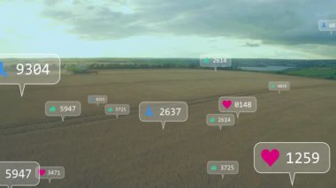 Altın buğday tarlası ufuk çizgisine kadar uzanıyor ve sosyal medya baloncukları hasatçının üzerinde yüzüyor. Tarım, kırsal, makine, hasat, endüstri, ağ, bağlantı