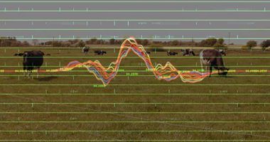 Tarım verileri otlak alanı üzerinde görselleştiriliyor, otlayan inekler ve dalga boyu şebeke örtüsüyle. Çimenlik, kırsal, vahşi yaşam, dijital, arayüz, pastoral, teknoloji