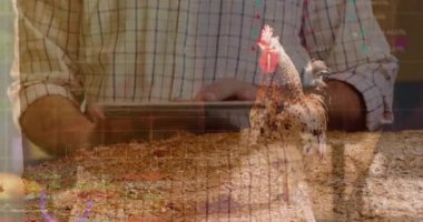 Borsa şebekelerinin altında duran horozun yanındaki kepçeye yaslanan adam. Çiftlik, kırsal, kırsal, endüstriyel, yönetimsel, analitik, doğal