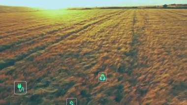 Günbatımında altın alanda yenilenebilir enerjiyi ön plana çıkaran yassı tasarım yeşil simgeleri. Sürdürülebilirlik, çevre, yenilenebilirlik, tarım, çevre dostu, dijital, koruma