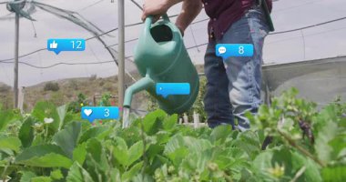 Çemberin içindeki dut sıralarını sulayan adam, çiftlik pazarlaması için yüzen sosyal medya simgelerini gösteriyor. Bahçecilik, tarım, sürdürülebilir, bahçıvanlık, dijital pazarlama, çevre dostu, kırsal