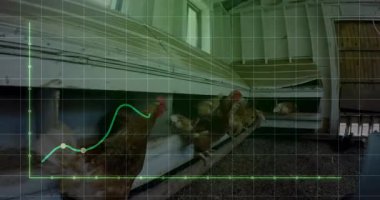 Düz tasarım yeşil çizgi çizelgesi, kırsal tavuk kümesi ızgarası sahnesini kahverengi tavuklarla örtüyor. Kontrol paneli, tarımsal, minimalist, kırsal, veri, analiz, görselleştirme