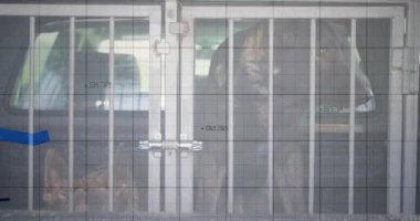 Minibüs kargo bölümünde metal kafes kapısının arkasında kalan iki köpek ve üç boyutlu çizelge animasyonu. Hayvan, ulaşım, güvenlik, veri görselleştirme, sınırlama, teknoloji, köpek