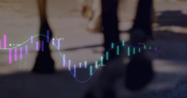 Güneş ışığıyla aydınlanan yolda yürüyen at toynakları yukarı doğru hareket eden renkli şamdan şemasını gösteriyor. At, açık hava, kırsal, dinamik, canlı, analitik, büyüme