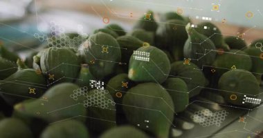 Yeşil incir kümesi, altıgen ızgaralar ve veri simgeleriyle fütüristik HUD örtüşmesini gösteriyor. Taze üretim, teknoloji, yenilik, dijital arayüz, sağlık, modern tasarım, organik