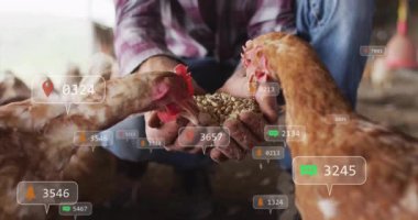 Çiftçi diz çöküp tavuk yemi sunarken akıllı tarım grafikleri kümes zemininde yüzüyor. Tarım, köy, kesinlik, sürdürülebilirlik, çiftlik hayvanları, teknoloji, kırsal