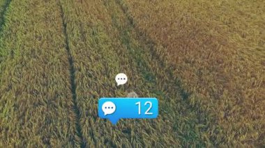 Altın ekin tarlasında süzülen sohbet bildirimleri, 43 numarayı gösteren mavi baloncuğu vurguluyor. Doğa, teknoloji, iletişim, hava, manzara, dijital, tarım