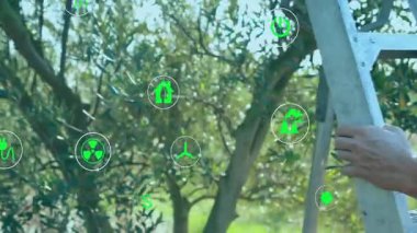 Kadın açık havada merdivene tırmanıyor, temiz enerji teknolojisi için yüzen eko-ikonlar gösteriyor. Çevre, doğa, sürdürülebilirlik, yenilenebilir, yenilik, çevre dostu, verde