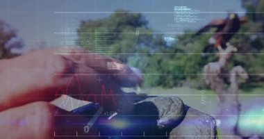 Falconer, Hawk 'ı eldivenle besliyor. Finansal grafikleri ve kod parçalarını örtüyor. Kuş, vahşi yaşam, teknoloji, analitik, açık hava, doğa, yenilik