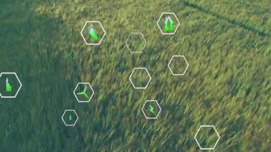 Yeşil çayır üzerinde yüzen dijital altıgen eko-ikonlar sürdürülebilir enerji ve büyüme gösteriyor. Doğa, ekoloji, yenilenebilir, korunma, teknoloji, çevrecilik, açık hava