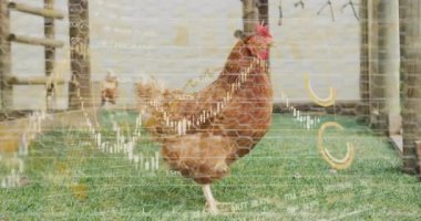 Düz tasarım borsa şamdan grafikleri kümesi kaplarken kahverengi-kırmızı tavuk çimenleri gagalıyor. Kırsal, tarım, yatırım, finans, modernizasyon, doğal, üretkenlik