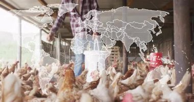 Erkek çiftçi ahşap kümeste tavukları besliyor, tarımsal veri haritasını gösteriyor. Çiftçilik, tarım, kırsal, çiftlik hayvanları, sürdürülebilirlik, kırsal, doğal