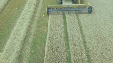 Havadan hasat makinesini birleştirerek başlık keserek buğday tarlasını 3 boyutlu olarak dilimleyip sıralı sıra oluşturuyorlar. Tarım, hasat, endüstriyel, kırsal, üretkenlik, makineler, manzara