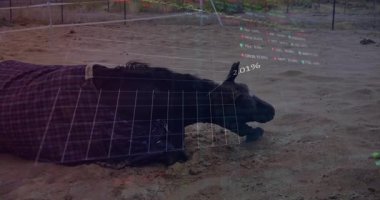 Kumlu zeminde yatıp şeffaf mali tabloları ve yüzde rakamlarını gösteren biri. Finansal analiz, veri görselleştirme, açık hava manzarası, ekonomik büyüme, yatırım, iş stratejisi, teknoloji