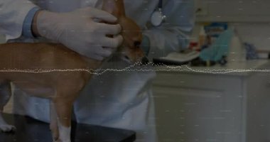 Veteriner, veteriner kliniğinde steteskop ve sağlık ikonlarıyla kahverengi köpeği muayene ediyor. Hayvan bakımı, klinik, profesyonel, hayvan sağlığı, teşhis, tıbbi ekipman, temiz çevre