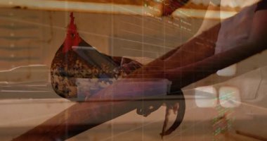 Ahır dairesinde akıllı telefon yazan bir adam, borsa grafiği ve kırmızı tarak tavuğu var. Vahşi yaşam, teknoloji, kırsal, veri, dijital, çiftlik, yenilik