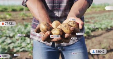 Çiftlikte patates hasat eden çiftçi, ekin verimini takip eden yüzen bildirim simgelerini gösteriyor. Kırsal, tarım sektörü, sürdürülebilirlik, doğa, hasat, üretkenlik, organik