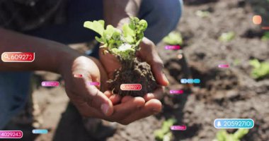 Bahçıvan diz çöküp bahçe yatağında fidanlar dikiyor, tarım verilerinin büyümeyi takip ettiğini gösteriyor. Bahçecilik, tarım, eko, yenilik, teknoloji, ekolojik, sürdürülebilirlik