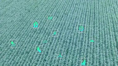 Geniş yeşil ekin alanı düz tasarım düzeninde sürdürülebilirlik simgelerini gösteriyor. Tarım, çevre, eko, koruma, yenilenebilir, temiz enerji, çevre dostu