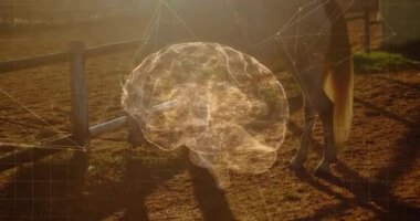 Holografik beyin modeli, parlayan düğümler ve ahşap raylar göstererek üç boyutlu olarak at çayırında yüzüyor. Fütüristik, teknoloji, manzara, yenilik, görselleştirme, bağlantı, kırsal