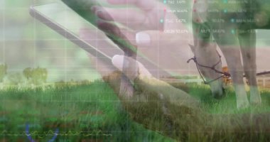 Beyaz çitlerle akıllı telefonları dinleyen kadınların elleri yüzen finansal grafikleri ve yüzdeleri gösteriyor. Teknoloji, finans, kırsal, açık hava, dijital, yönetim, yenilik