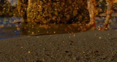 Islak kumsalda duran erkek bacakları yosunlu kaya ve altın ışıkla sağlığını ön plana çıkarıyor. Sahil, sahil, gün batımı, dinginlik, doğa, sükunet, minimalizm