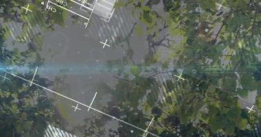 Ağaç tepe örtüsünü kaplayan beyaz yalan çizgisi grafiği artı şeffaf dünya haritası telgrafı. Doğa, veri görselleştirme, soyut, teknoloji, manzara, yenilik, bağlantı