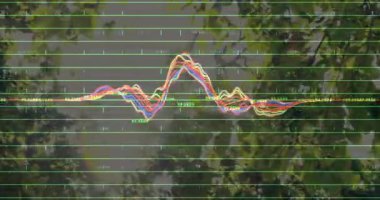 Neon kireç ızgarası ve veri etiketlerini gösteren çok renkli dalga formu grafiği güneşli bir ormanın üzerine yerleştirildi. Doğa, veri görselleştirme, dijital sanat, canlı, açık hava, teknoloji, ekolojik