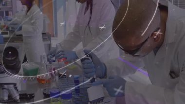 Laboratuar araştırmacıları pipetleri ve mikroskobu kullanarak sıvıları karıştırarak çapraz grafikleri gösteriyorlar. Bilim, yenilik, kesinlik, takım çalışması, laboratuvar, teknoloji, keşif